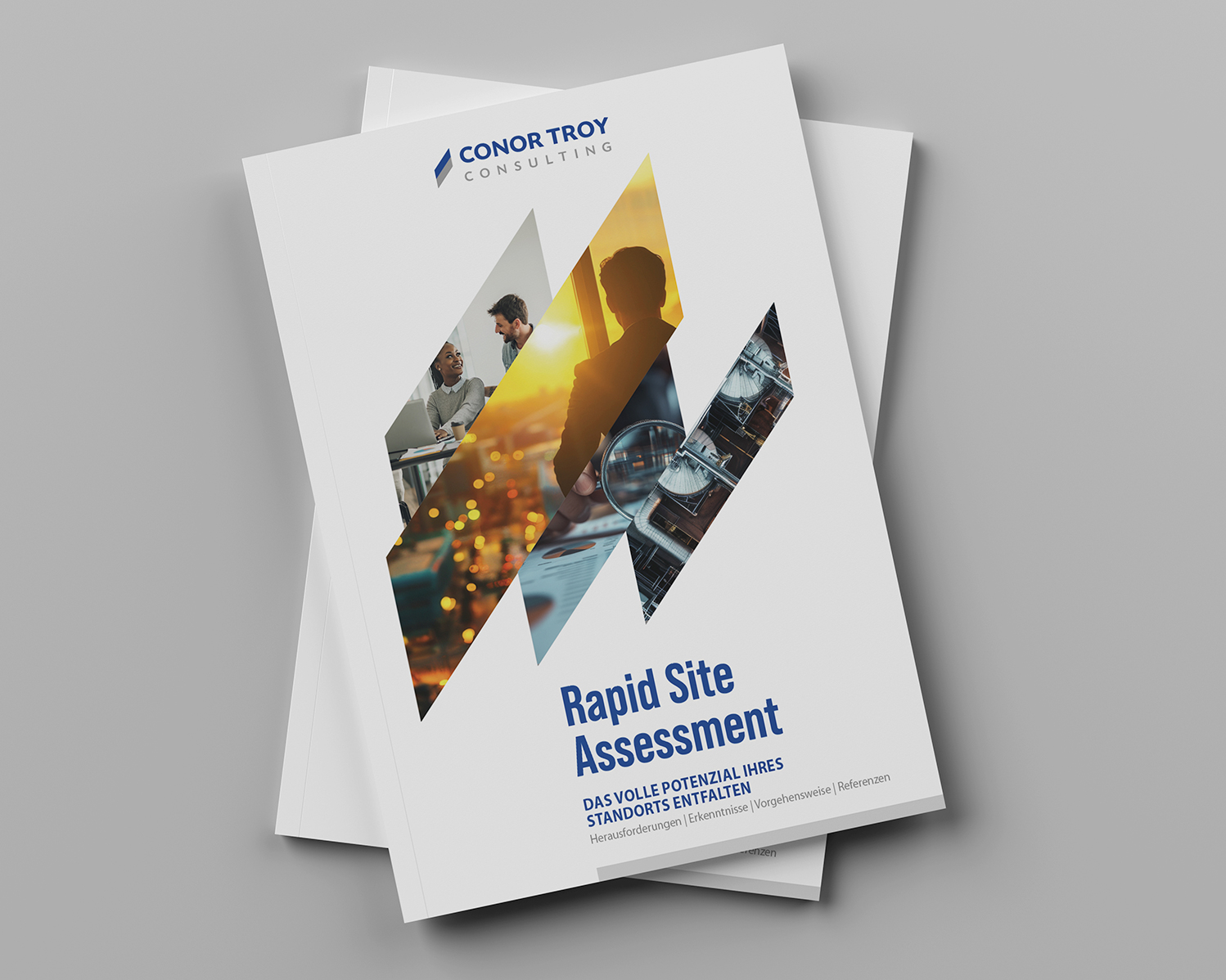 Rapid Site Assessment